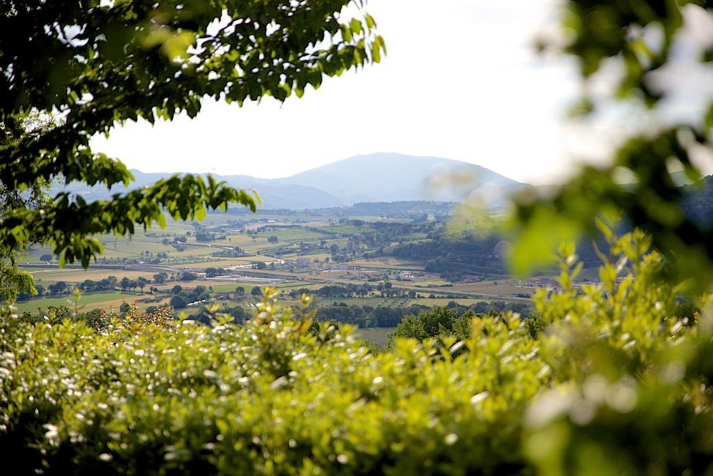 Agriturismo Le Colombe Assisi Luaran gambar