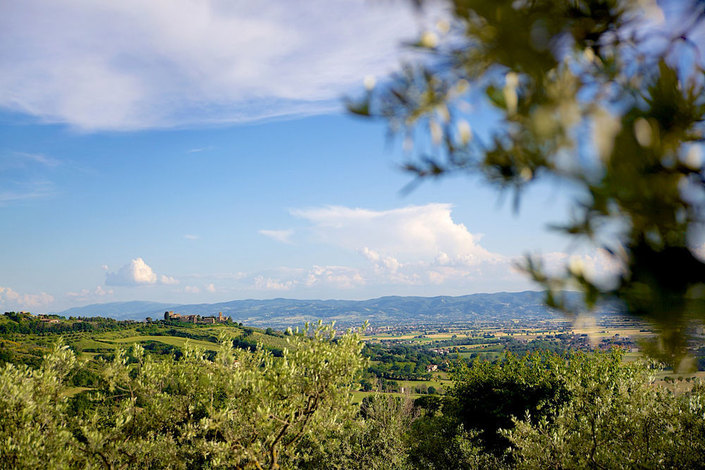 Agriturismo Le Colombe Assisi Luaran gambar