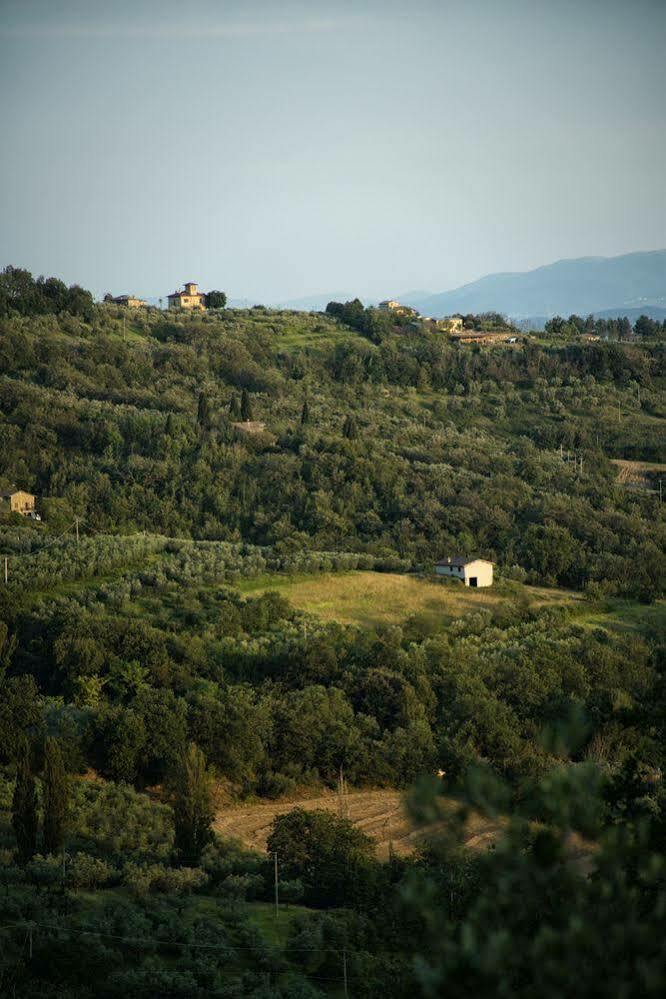 Agriturismo Le Colombe Assisi Luaran gambar